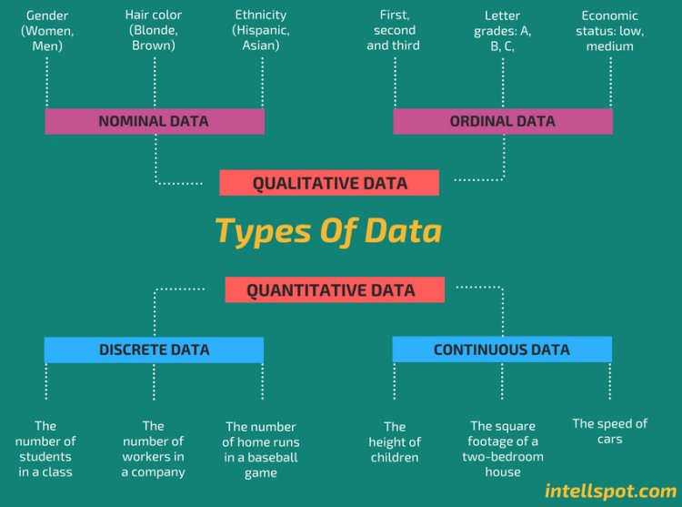 6 Types of Data in Statistics & Research: Key in Data Science