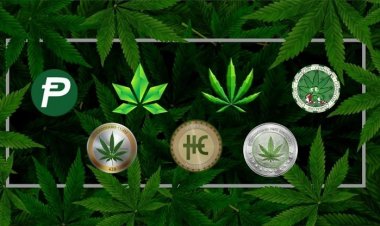 How Blockchain is Transforming the Cannabis Industry
