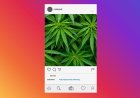 AI Detects Drug Dealers on Instagram With About 95% Accuracy.