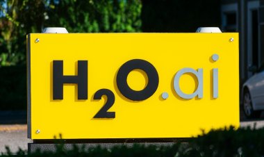 H2O.ai has raised $100 million with a preliminary estimate of $1.6 billion for tools that bring AI to all businesses