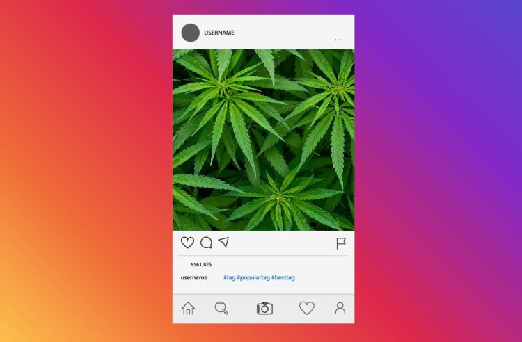 AI Detects Drug Dealers on Instagram With About 95% Accuracy.