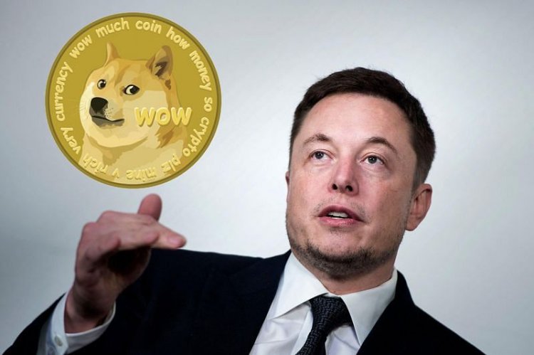 Dogecoin Spikes More than 21% as Elon Musk says Tesla to Accept it as Payment for Merch
