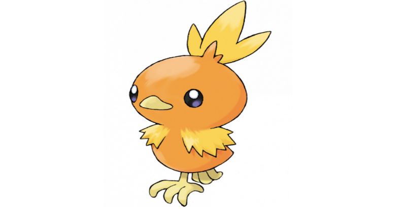 Torchic