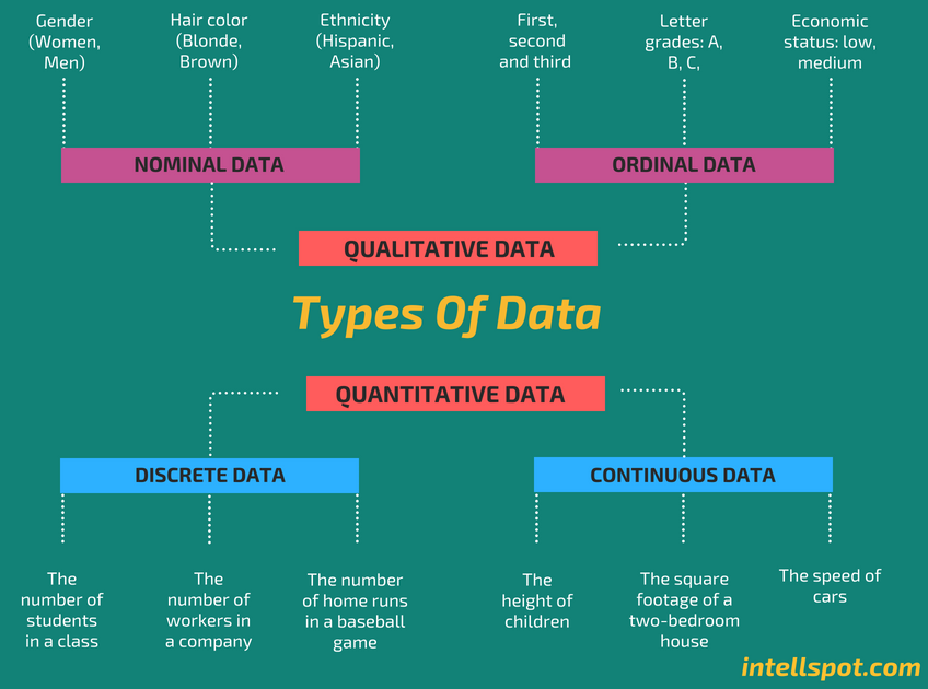 Types of Data - Infographic